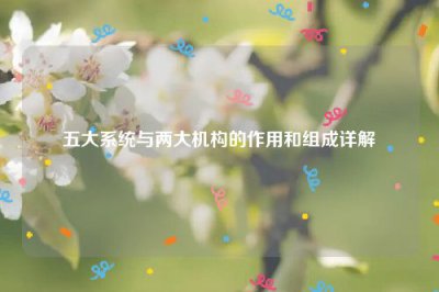 ​五大系统与两大机构的作用和组成详解