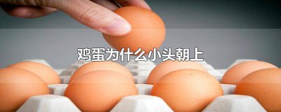 ​鸡蛋应该是大头朝上还是小头朝上 鸡蛋是大头朝上小头朝上
