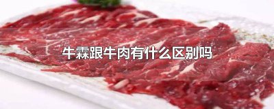 ​牛霖为什么比牛肉便宜 牛霖还是牛腱肉好