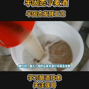 ​固态白酒小麦酒做法视频  小麦白酒 ***  ***