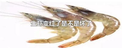 ​生虾变红了是不是坏了