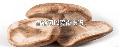 ​香菇可以隔夜吃吗