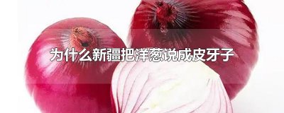 ​为什么新疆把洋葱说成皮牙子
