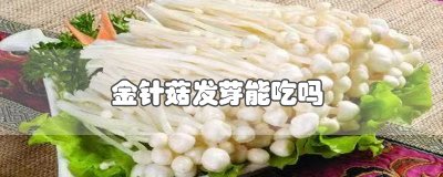 ​金针菇发芽能吃吗
