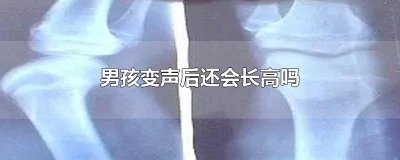 ​男孩变声后还会长高吗