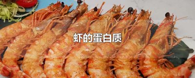 ​虾的蛋白质