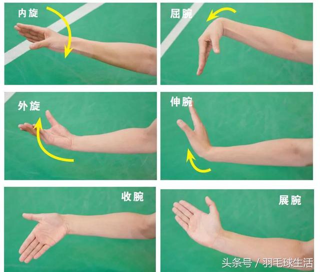 单打羽毛球发球技巧和手法（王琳教你羽毛球发球技巧）(1)