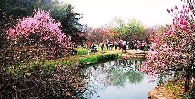 桃花潭在我国哪个省,桃花潭水深千尺不及汪伦送我情其中桃花潭在哪个省?图4