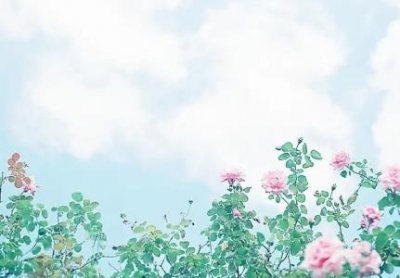 ​客厅钟表尺寸欧式钟表挂钟客厅，客厅挂钟怎么选择