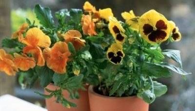 ​了解装修材料装修材料都有哪些家装六大材料一览