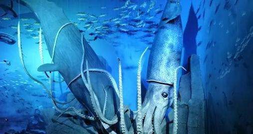 章鱼血液的颜色是什么,章鱼的血液是什么颜色的答案图6