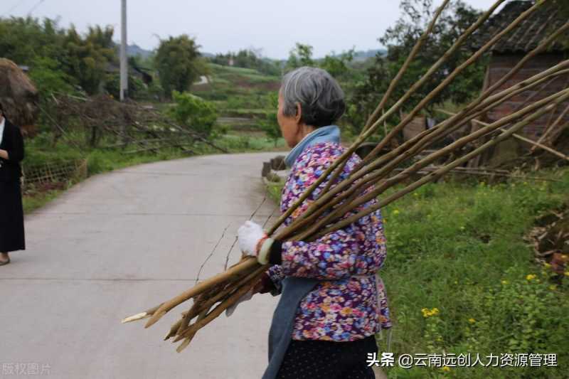 建档立卡户是什么意思（建档立卡和低保户的区别有哪些？）