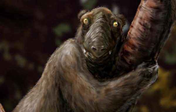 世界10种已毁灭的动物,竟都是由于人类运动而毁灭