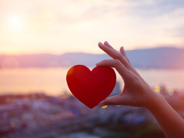 范成大鹧鸪天（范成大鹊桥仙良宵苦短）(3)