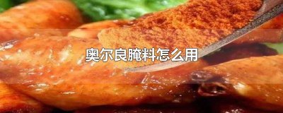 ​奥尔良腌料怎么放 奥尔良腌料要放冰箱吗