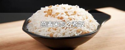 ​燕麦米怎么煮饭