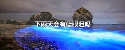 ​下雨天会有蓝眼泪吗