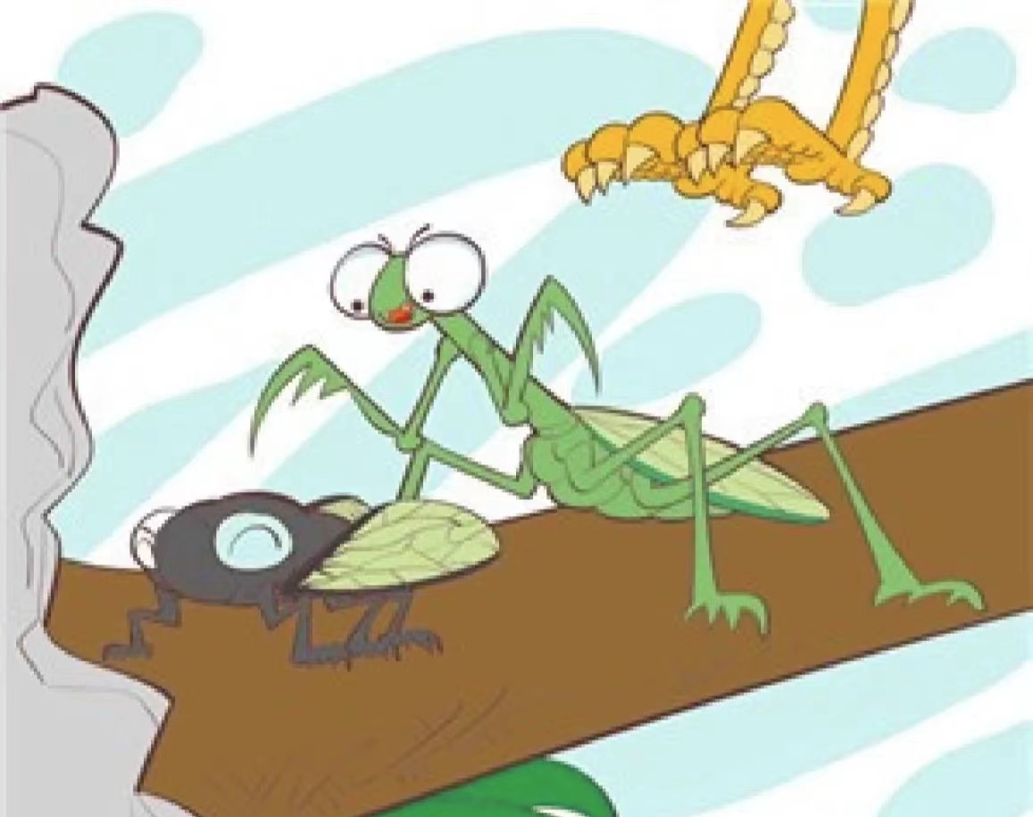 螳螂捕蝉典故出自哪里，看看古人的智慧