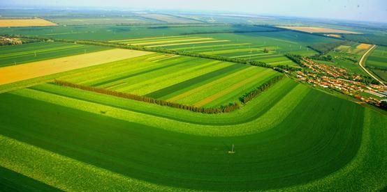 北大荒属于哪个市管辖
