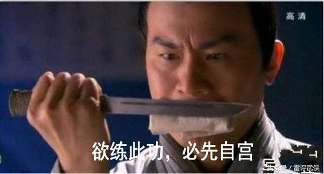 辟邪剑谱跟辟邪剑法（辟邪剑谱与葵花宝典）(2)