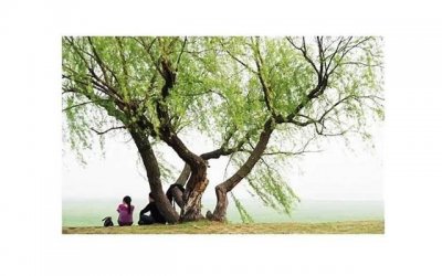 ​描写景物的古诗（寄寓良深的八首古诗词）