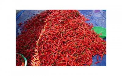 ​挽回男友攻略：分手了很久的前男友如何挽回前男友