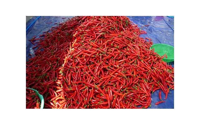 挽回男友攻略:分手了很久的前男友如何挽回前男友 挽回男友攻略:分手了很久的前男友如何挽回前男友