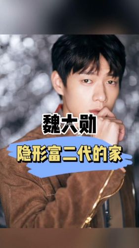 魏大勋家里是干什么的魏绍林(何炅一家三口照)-第1张图片-