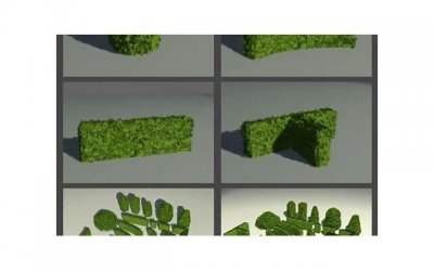 ​做梦梦见抛弃是什么意思