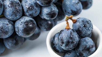 ​白葡萄酒和红葡萄酒的区别 知乎视频 红酒和葡萄酒有什么区别?-知乎问答