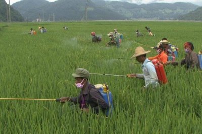 ​农药肥料经营许可证需要什么条件 农药化肥资质