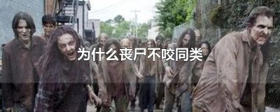 ​为什么丧尸不咬同类