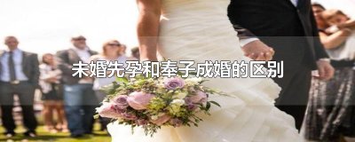 ​未婚先孕和奉子成婚的区别