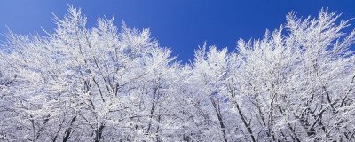 ​冬至的古诗四句