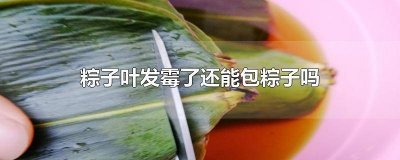 ​粽子外面的粽叶发霉了还能吃吗 吃了发霉的粽子叶的粽子没事