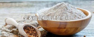 ​全麦小麦粉是粗粮吗 粗粮和全麦