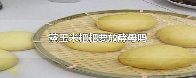 ​蒸玉米粑粑要放酵母吗视频 蒸玉米粑粑要放酵母吗窍门