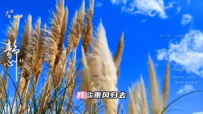 ​古诗词配乐朗读水调歌头《明月几时有》作者：（宋）苏轼