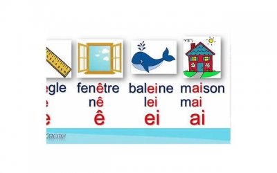​梦到猫会被劈腿？梦中出现这5种东西，代表感情亮红灯啦