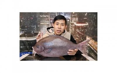 ​男二婚娶头婚（凭什么娶了头婚本科优质女）