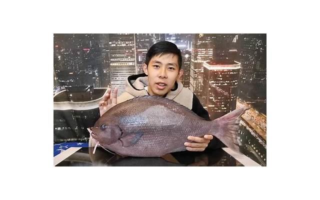 男二婚娶头婚（凭什么娶了头婚本科优质女）