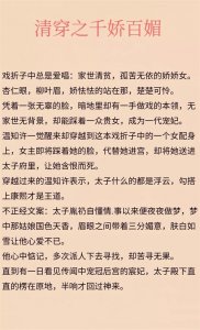 ​3本超好看的清穿文