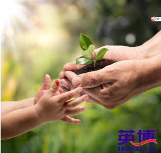 ​英博奶粉：安心品牌 消费者口碑之选