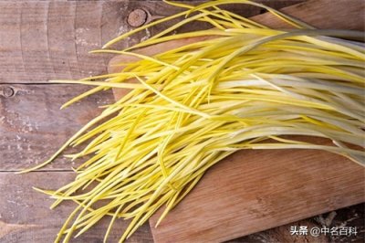 ​蒜黄怎么种植，什么是蒜黄?