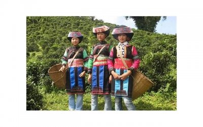 ​刘宇宁身世，于晓光得知刘宇宁的家庭和身世很心疼