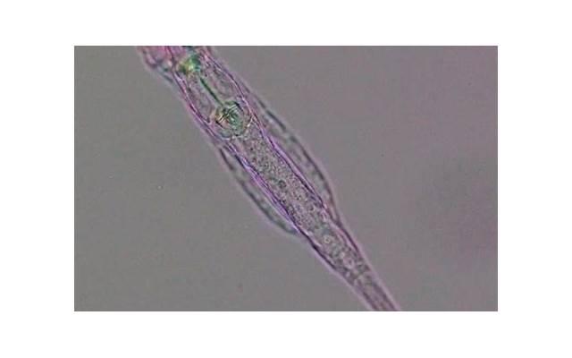 愚人节才是情人节 愚人节微信转账信息 愚人节才是情人节 愚人节微信转账信息