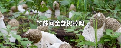 ​竹荪网全部扔掉吗