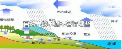 ​自然界的水循环包括哪些 自然界的水循环包括哪些方面