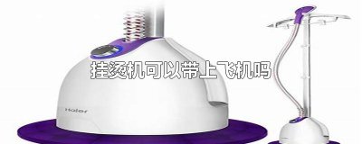 ​挂烫机可以带上飞机吗
