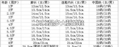​19.5是多大码的鞋